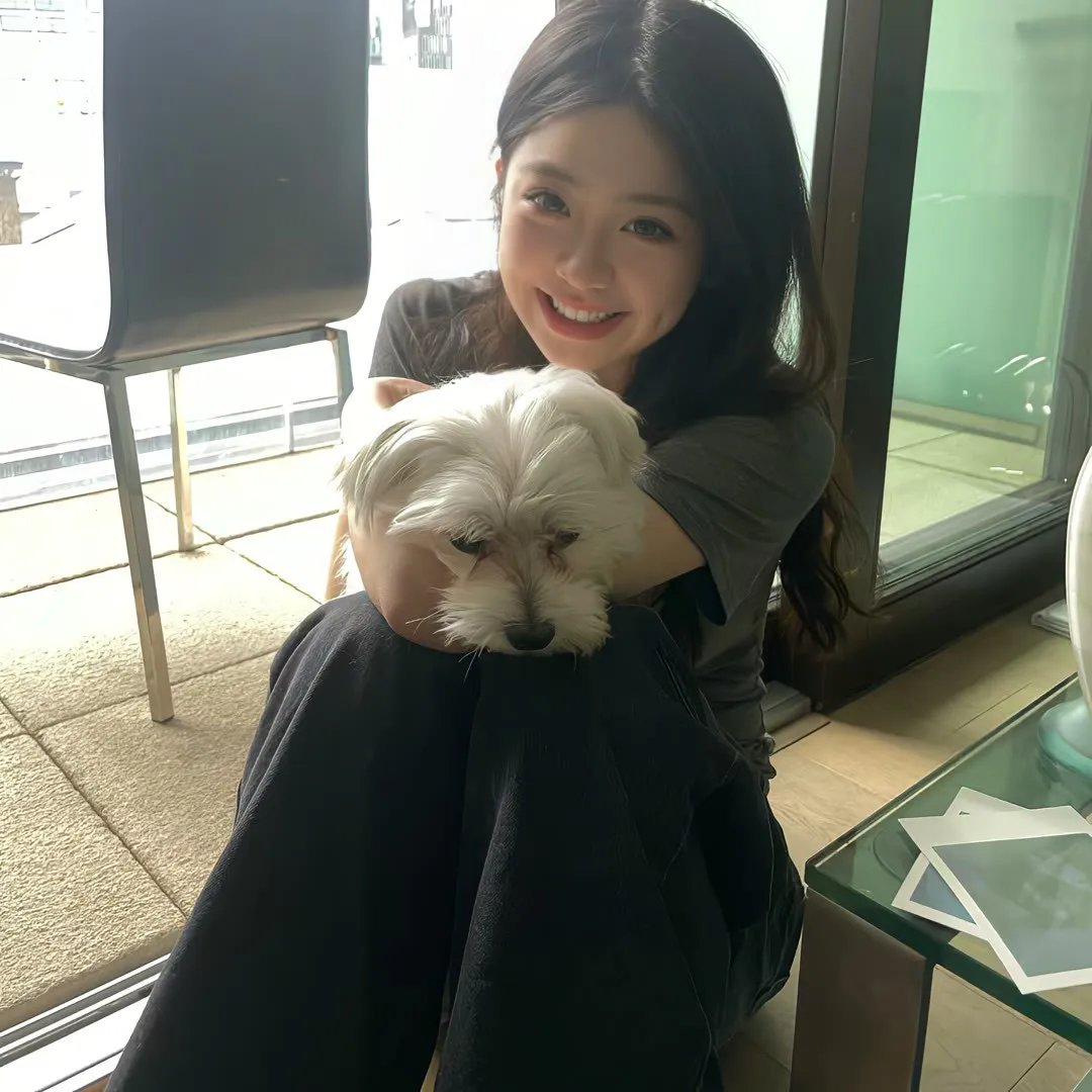 狼的孩子雨和雪
